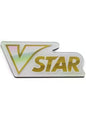 Pokemon TCG: Vstar Marker Token